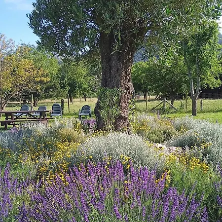 Nasares 2 Ferienhaus