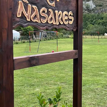 Nasares 2
