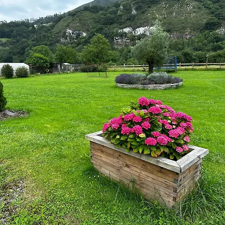 Nasares 2 Holiday home *